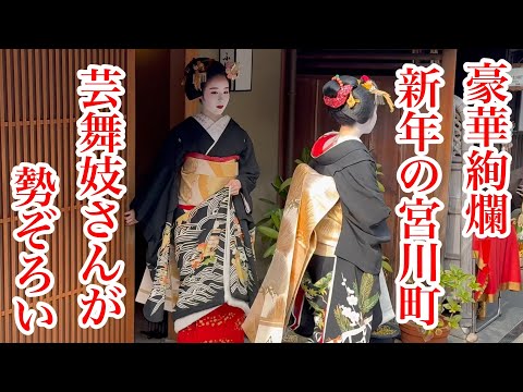 2025年1月5日 豪華絢爛❗️新春の宮川町に芸舞妓さんが勢ぞろい Geisha and maiko in Miyagawacho 【4K】