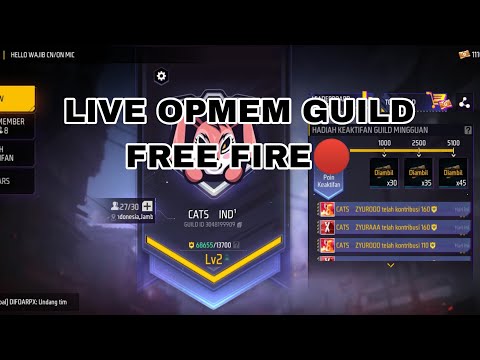 live open member guild free fire🔴