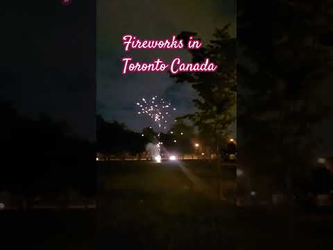 Fireworks at the park #fireworks #park #fireworksdisplay #followerseveryone #viral #trending #asmr