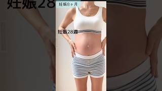 【妊娠中のお腹🤰】妊娠から出産まで#妊娠#出産#つわり