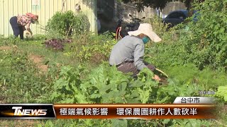 極端氣候影響  環保農園耕作人數砍半│T-NEWS聯播網