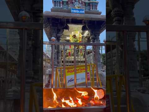 అరుణాచలం ఆలయం #arunachalam #thiruvannamalaitemple #omnamahshivaya