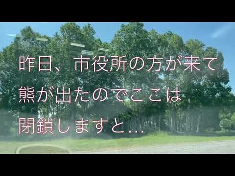 【2021年北海道キャンプ】熊出没でキャンプ場閉鎖…