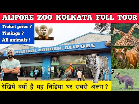 Kolkata zoo - kolkata zoo all animals | Alipore zoo kolkata zoo | Alipur zoo in kolkata zoo ticket