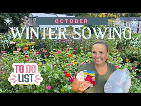 Do These Three Things NOW For Winter Sowing Success!!!🌱❄️  |  The Southern Daisy