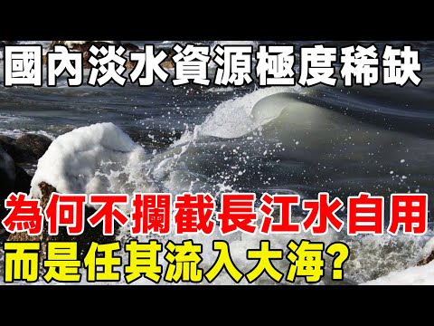 國內淡水資源極度稀缺，為何不攔截長江水自用，而是任其流入大海？#科普頻道 #科普