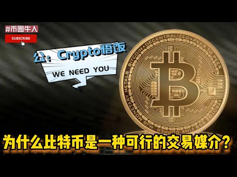 为什么比特币是一种可行的交易媒介？Why is Bitcoin a viable medium of exchange?