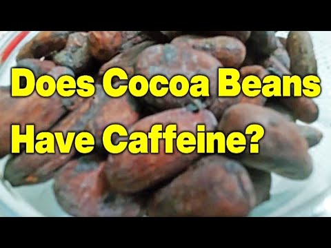 Does Cocoa Beans Have Caffeine? Caffeine in Cocoa Beans? Does Cocoa Contains Caffeine? Benefits