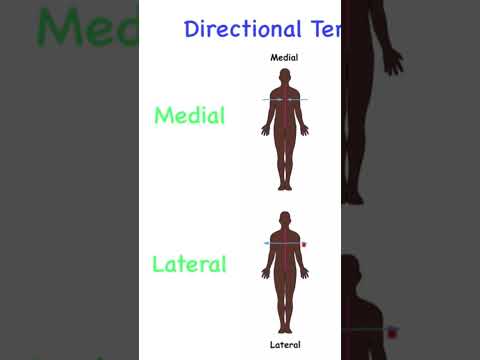 Medial | Lateral | Proximal | Distal What do they mean? #directionalterminology