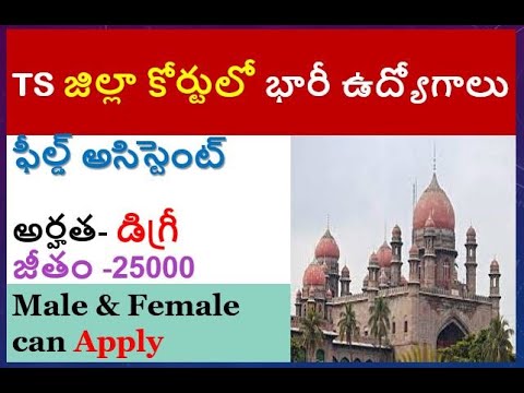 TS జిల్లా కోర్టులో భారీ ఉద్యోగాలు# Field Assistant jobs#tsjobs #Court#tspsc#courtjobs