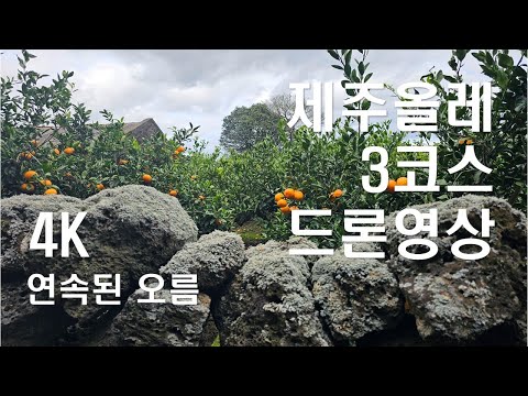 제주올레 3코스(온평포구-표선) 4K 드론영상