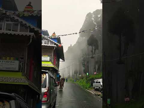 Love for Mountains #lepchajagat #shorts #shortvideo #travel