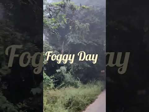 Foggy Morning #shorts #fog #foggy