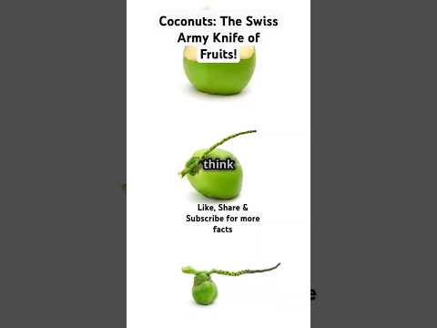 Coconuts: The Swiss Army Knife of Fruits! #ytshorts #facts #superfood #newyoutuber  #health