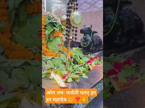 पूछे लालू कौन मंदिर गैल रहलू #bholenath_status #shorts #ytshorts #harharmahadev #viralvideo