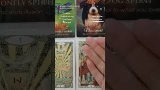 ✨️Subscribe to Nina Tarot Readings✨️ #tarot #tarotcardreading #onlinetarotreadings