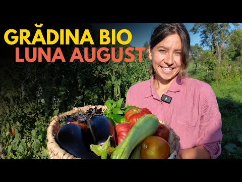 👩🏼‍🌾 Turul GRADINII FARA SAPA in luna AUGUST | Gradinarit fara experienta