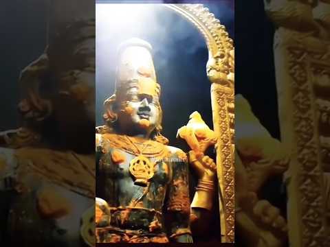 ఆ గోవిందు నీ రూపం | Lord Venkatesha #balaji #omnamovenkateshaya #shorts