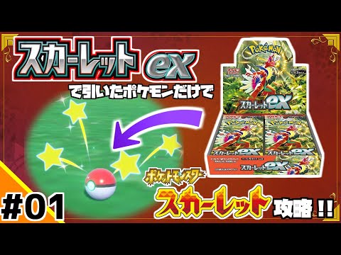 ポケカBOXスカーレットexで引いたポケモンだけでスカーレット攻略ウゥゥゥウウ！！part1(ポケカ縛りでゲーム攻略 スカーレット×スカーレットex編 #01）