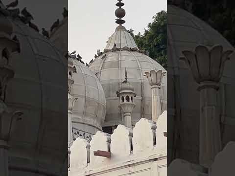 Moti masjid | wonderful architect | #redfort #viral #youtubeshorts #trending #delhi