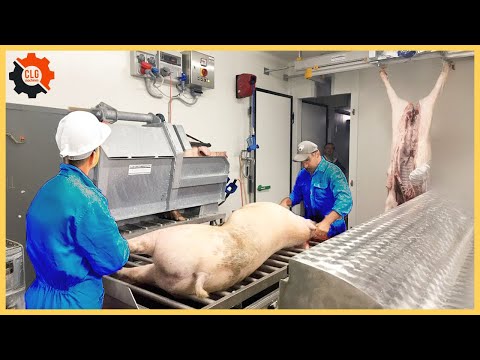 Most Unbelievable Food Industry Machines That At Another Level ▶276