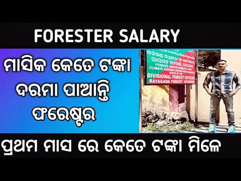 odisha forester salary 2023!!forester monthly salary!!