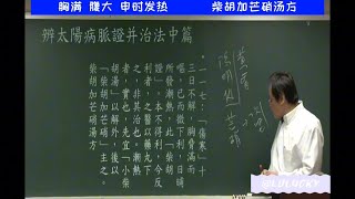 倪海厦：胸满 腹大(便便堵住) 申时发热-柴胡加芒硝汤方