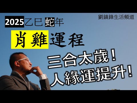 2025年肖雞運程 | 太歲三合  | 三合 金匱 將星 地解| 劉鎮鋒生活頻道