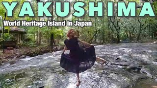 Yakushima Island #1🇯🇵 Adventure in the hidden forest!! Japan vlog☆