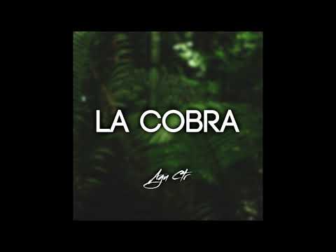 La cobra - J mena Remix Dj AguCTR