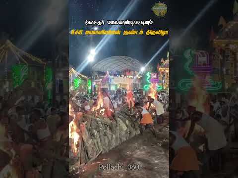 கோட்டூர் மலையாண்டிபட்டினம் உச்சி மாகாளியம்மன் குண்டம் திருவிழா 2025#pollachi360 #pollachi