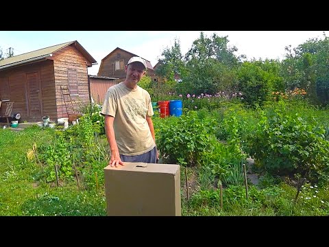 Our Simple Way to Save on Electricity / Russian Village Life