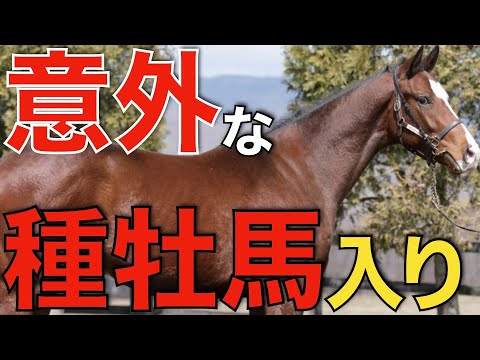 G1未勝利の2頭が種牡馬入り！未完の大器がまたも成功なるか。