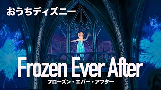 【おうちディズニー】フローズン・エバー・アフター / 香港ディズニーランド : 【POV】Frozen Ever After at Hong Kong Disneyland