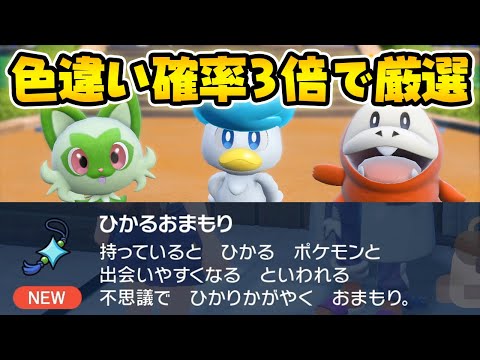 【国際孵化】ひかおま使って色違い御三家＋大量発生厳選をします！【ポケットモンスター スカーレット・バイオレット/SV】