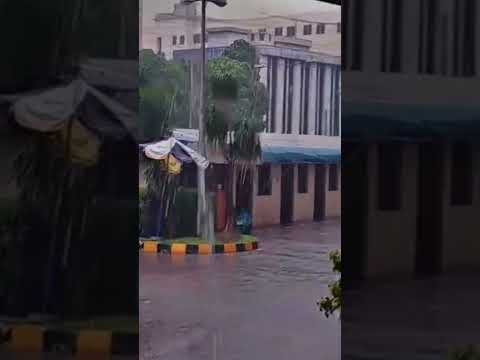 #rain today in peshawar☔🌧️#shortsyoutube