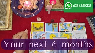 Your Next 6 Months🌈 Timeless Tarot Reading 🧿 Your Next Glow Up ✨️Very Important Message For You 🌺