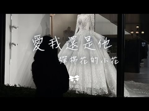 彈棉花的小花 - 愛我還是他「你愛我還是他 是不是真的他有比我好」【動態歌詞】♪