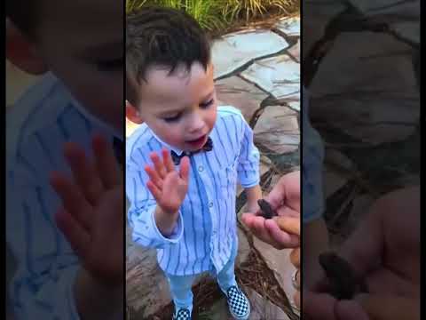 Cute Babies Explore The World - Baby Outdoor Video