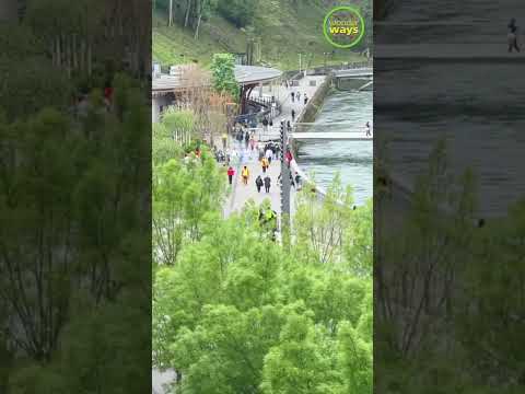 Top view of Lourdes Sanctuary | Notre dame Lourdes from top #lourdes #travel #france