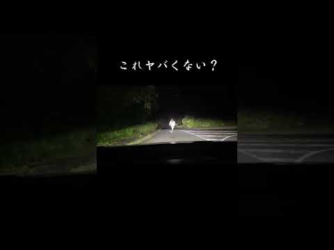 心霊スポットの帰り道(閲覧注意)