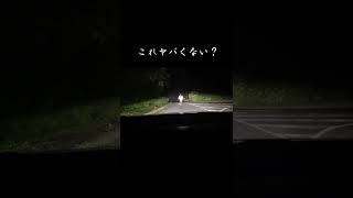 心霊スポットの帰り道(閲覧注意)