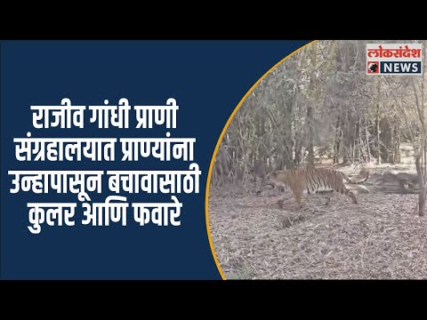 राजीव गांधी प्राणी संग्रहालयात प्राण्यांना उन्हापासून बचावासाठी कुलर आणि फवारे