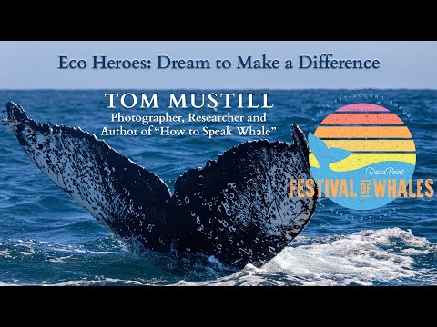 Tom Mustill: Photographer, Researcher & Author of “How to Speak Whale” | Eco Heroes