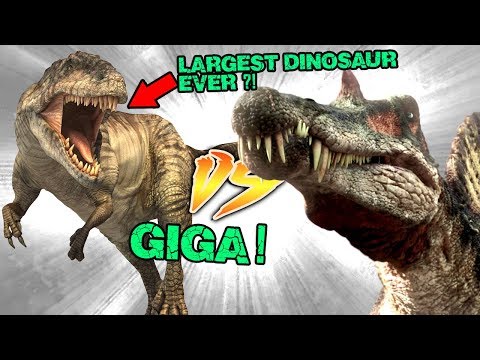 Spinosaurus VS Giganotosaurus [Who Would Win?]