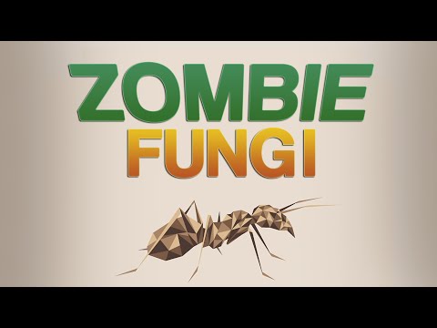 Cordyceps - Mind Controlling Zombie Fungus