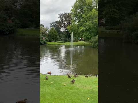 If you want to escape the city and explore nature, visit Botanical Garden Of Nantes #naturalsound