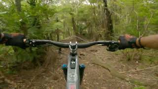 Whitehills, Kerikeri MTB Club, "Freedom", Grade Four