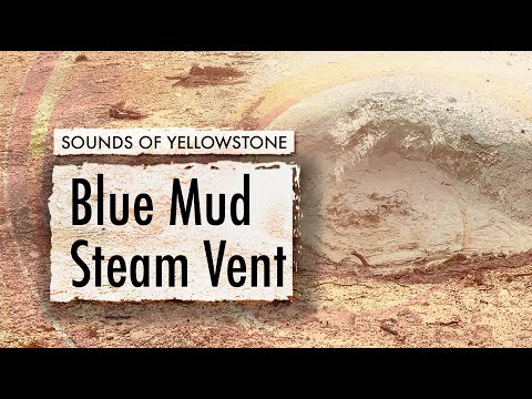 Blue Mud Steam Vent — ASMR, Sleep, Concentration (Sounds of Yellowstone)