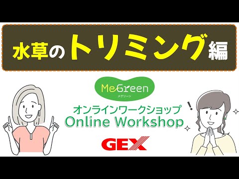 MeGreen Online Workshop 動画で解説！水草のトリミング方法